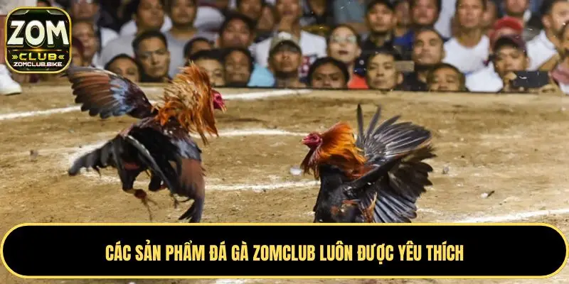 Trang chủ 36 Các sản phẩm đá gà Zomclub luôn được yêu thích