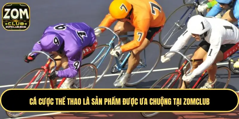 Trang chủ 33 Cá cược thể thao là sản phẩm được ưa chuộng tại Zomclub
